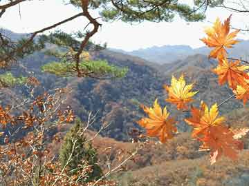 重庆附近避暑好地方（距重庆109公里有哪些避暑胜地？）