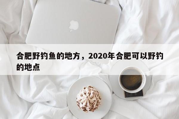 合肥野钓鱼的地方，2020年合肥可以野钓的地点