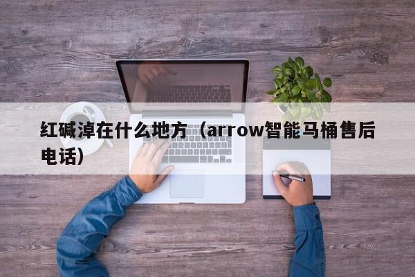 红碱淖在什么地方（arrow智能马桶售后电话）