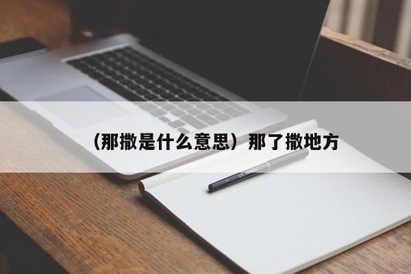 （那撒是什么意思）那了撒地方